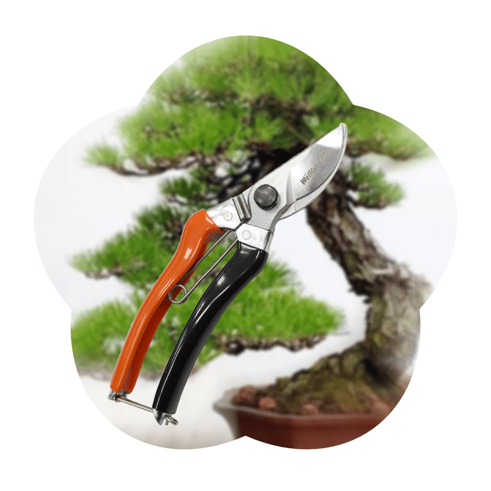 Wellcut紅蟳牌 Wellcut紅蟳牌